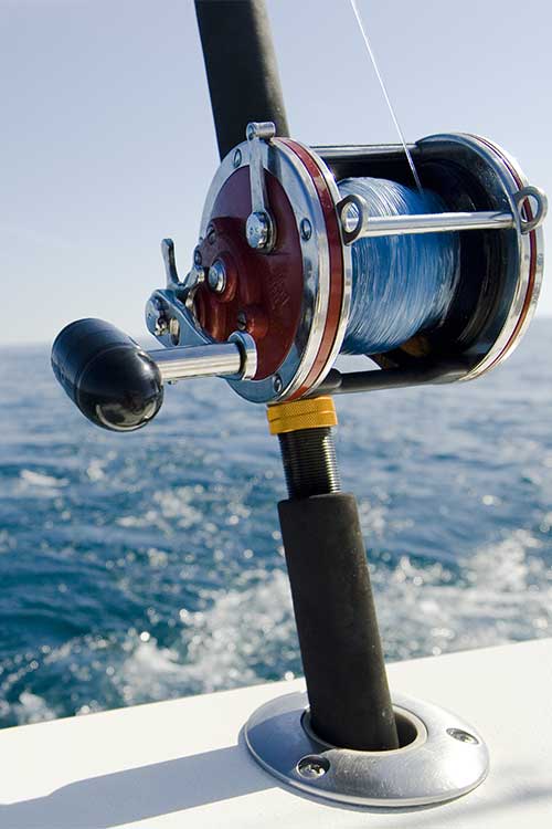 sailboat charter amelia island